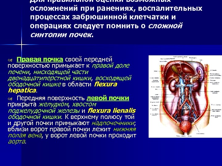 Для правильной оценки возможных осложнений при ранениях, воспалительных процессах забрюшинной клетчатки и операциях следует