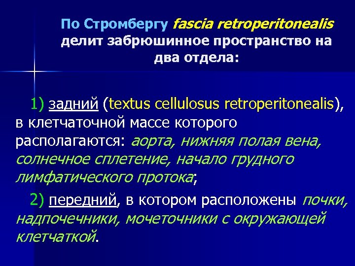 По Стромбергу fascia retroperitonealis делит забрюшинное пространство на два отдела: 1) задний (textus cellulosus
