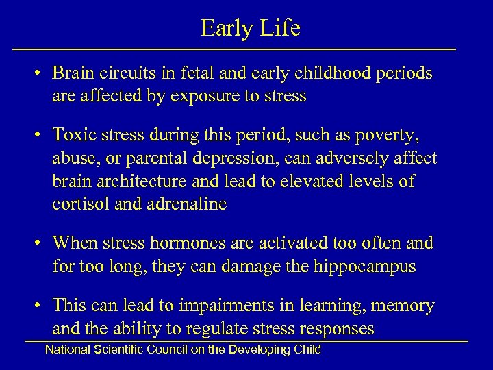 Early Life • Brain circuits in fetal and early childhood periods are affected by