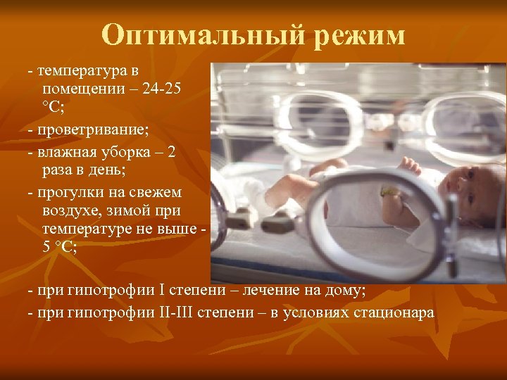 Оптимальный режим - температура в помещении – 24 -25 °С; - проветривание; - влажная