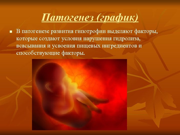 Патогенез (график) n В патогенезе развития гипотрофии выделяют факторы, которые создают условия нарушения гидролиза,