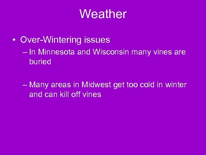 Weather • Over-Wintering issues – In Minnesota and Wisconsin many vines are buried –