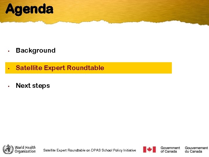 Agenda • Background • Satellite Expert Roundtable • Next steps Satellite Expert Roundtable on