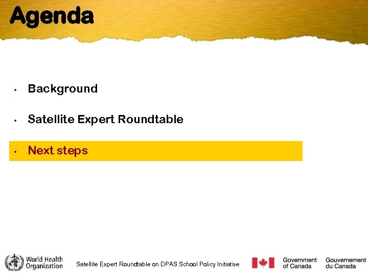 Agenda • Background • Satellite Expert Roundtable • Next steps Satellite Expert Roundtable on