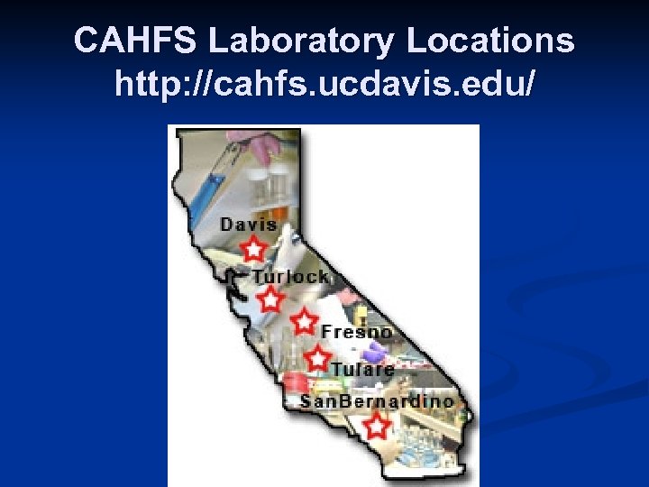 CAHFS Laboratory Locations http: //cahfs. ucdavis. edu/ 