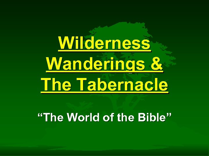 Wilderness Wanderings & The Tabernacle “The World of the Bible” 