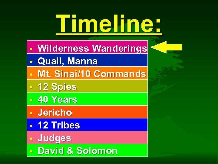 Timeline: § § § § § Wilderness Wanderings Quail, Manna Mt. Sinai/10 Commands 12