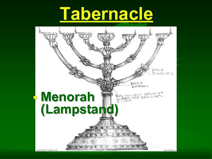 Tabernacle § Menorah (Lampstand) 