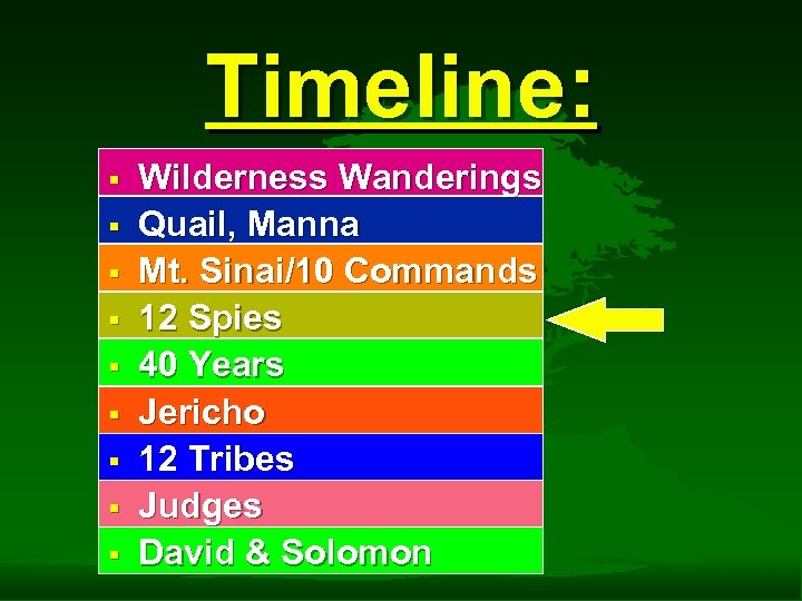 Timeline: § § § § § Wilderness Wanderings Quail, Manna Mt. Sinai/10 Commands 12