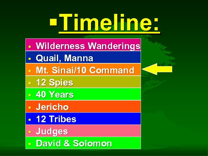 §Timeline: § § § § § Wilderness Wanderings Quail, Manna Mt. Sinai/10 Command 12