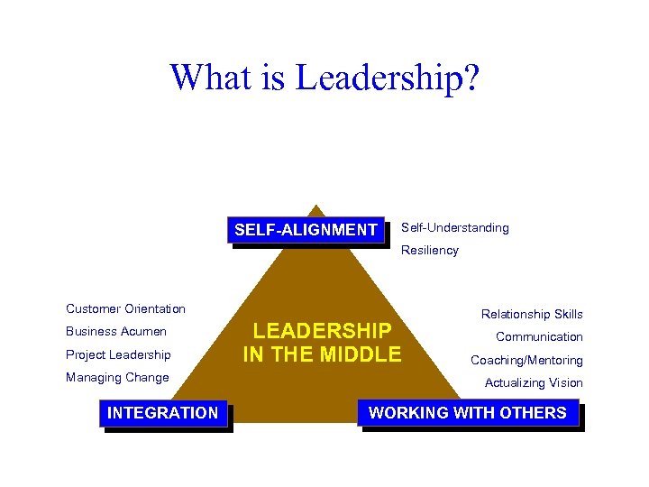 What is Leadership? SELF-ALIGNMENT Self-Understanding Resiliency Customer Orientation Business Acumen Project Leadership Managing Change