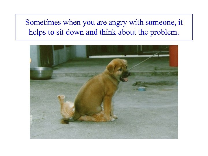 Sometimes when you are angry with someone, it helps to sit down and think