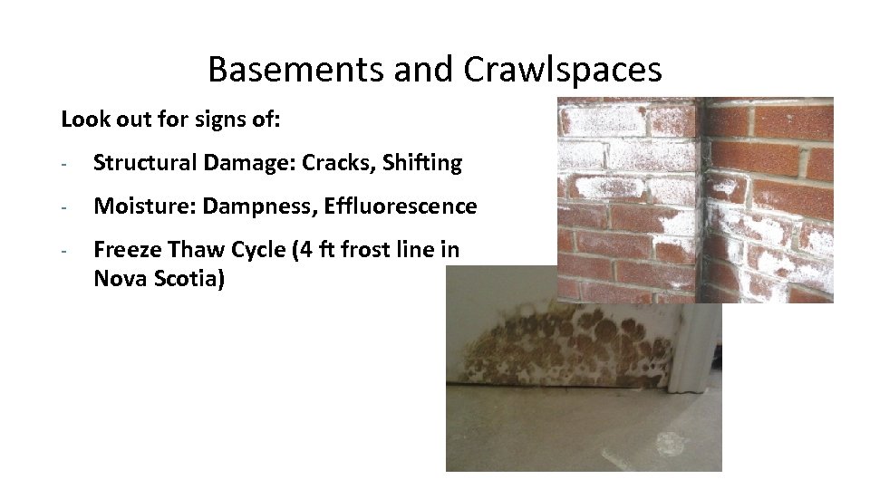 Basements and Crawlspaces Look out for signs of: - Structural Damage: Cracks, Shifting -