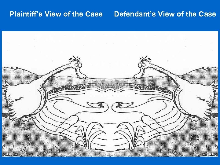 Plaintiff’s View of the Case Defendant’s View of the Case 