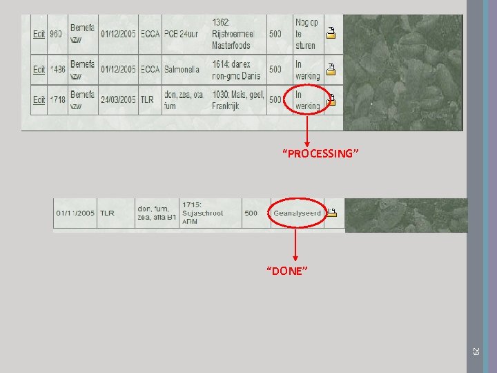 “PROCESSING” “DONE” 29 