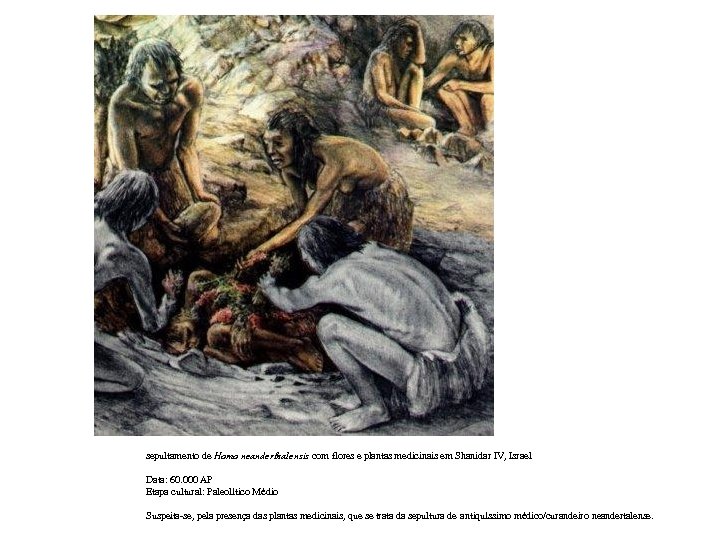 sepultamento de Homo neanderthalensis com flores e plantas medicinais em Shanidar IV, Israel Data: