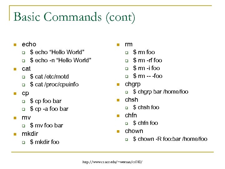 Basic Commands (cont) n echo q q n q q q n $ cp