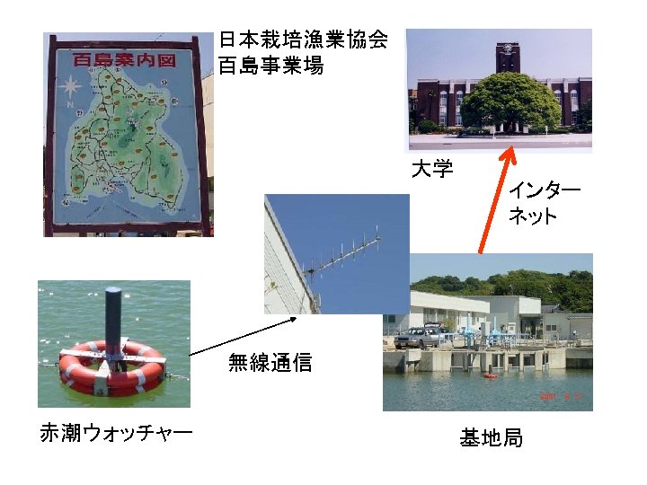 日本栽培漁業協会 百島事業場 大学 インター ネット 無線通信 赤潮ウォッチャー 基地局 