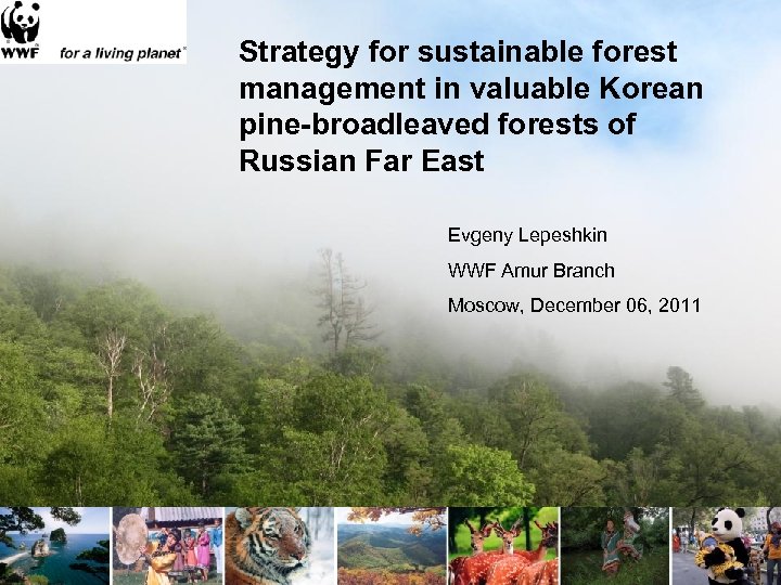 Strategy for sustainable forest management in valuable Korean pine-broadleaved forests of Russian Far East