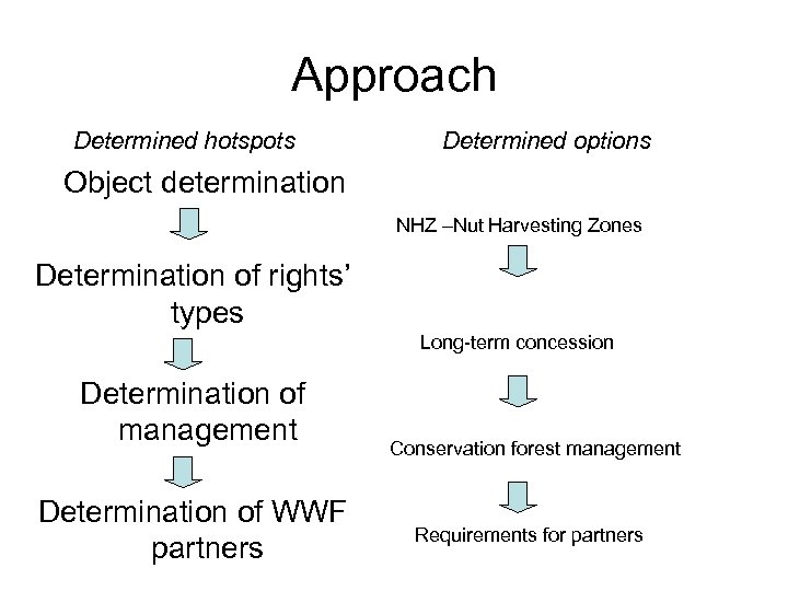 Approach Determined hotspots Determined options Object determination NHZ –Nut Harvesting Zones Determination of rights’