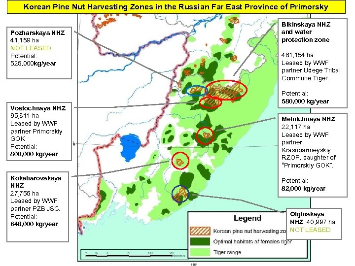 Korean Pine Nut Harvesting Zones in the Russian Far East Province of Primorsky Pozharskaya