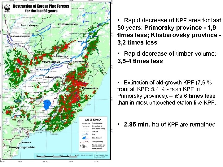  • Rapid decrease of KPF area for last 50 years: Primorsky province -