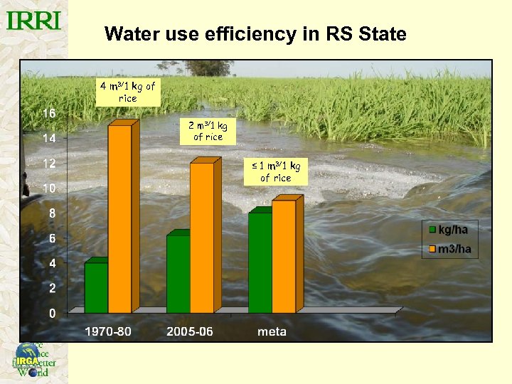 Water use efficiency in RS State 4 m 3/1 kg of rice 2 m