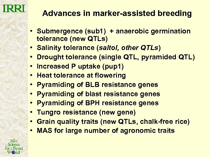 Advances in marker-assisted breeding • Submergence (sub 1) + anaerobic germination tolerance (new QTLs)