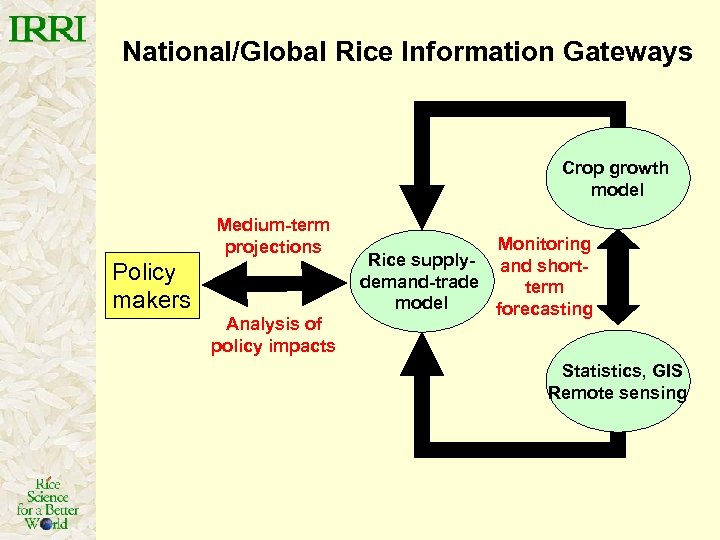 National/Global Rice Information Gateways Crop growth model Medium-term projections Policy makers Analysis of policy