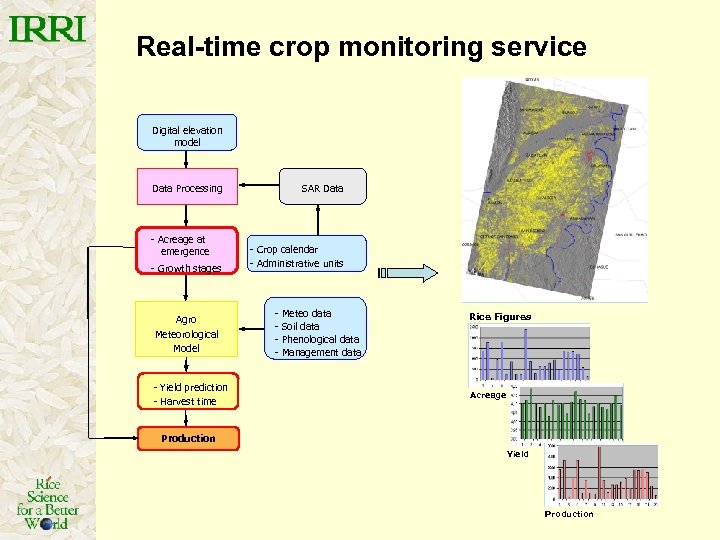 Real-time crop monitoring service Digital elevation model SAR Data Processing - Acreage at emergence