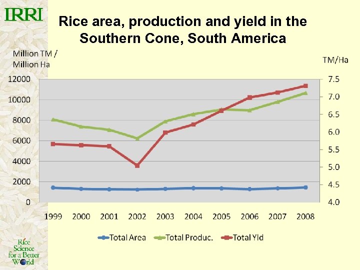 Rice area, production and yield in the Southern Cone, South America 