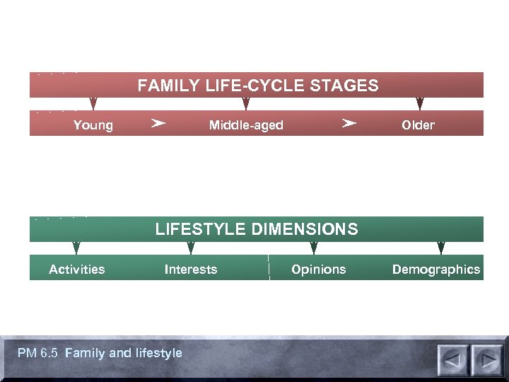 FAMILY LIFE-CYCLE STAGES Young Middle-aged Older LIFESTYLE DIMENSIONS Activities Interests PM 6. 5 Family