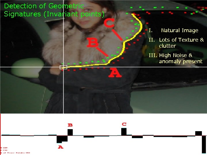 Detection of Geometric Signatures (Invariant points) I. Natural Image II. Lots of Texture &