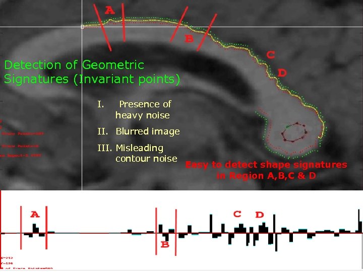 Detection of Geometric Signatures (Invariant points) I. Presence of heavy noise II. Blurred image