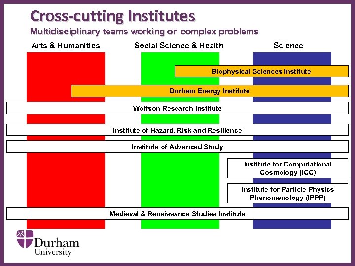 Cross-cutting Institutes Multidisciplinary teams working on complex problems Arts & Humanities Social Science &