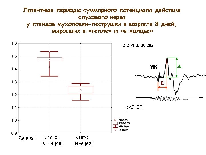 Латентные периоды суммарного потенциала действия слухового нерва у птенцов мухоловки-пеструшки в возрасте 8 дней,