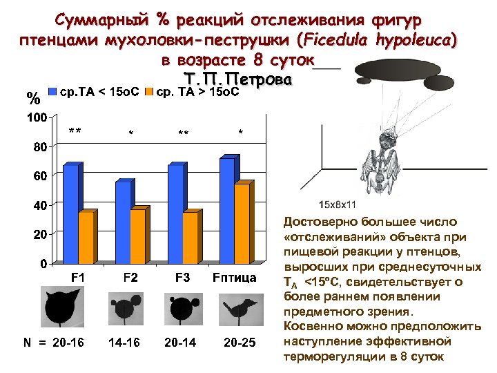 Суммарный % реакций отслеживания фигур птенцами мухоловки-пеструшки (Ficedula hypoleuca) в возрасте 8 суток Т.