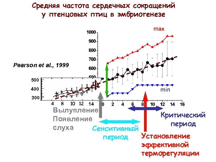 Средняя частота сердечных сокращений у птенцовых птиц в эмбриогенезе max Pearson et al. ,