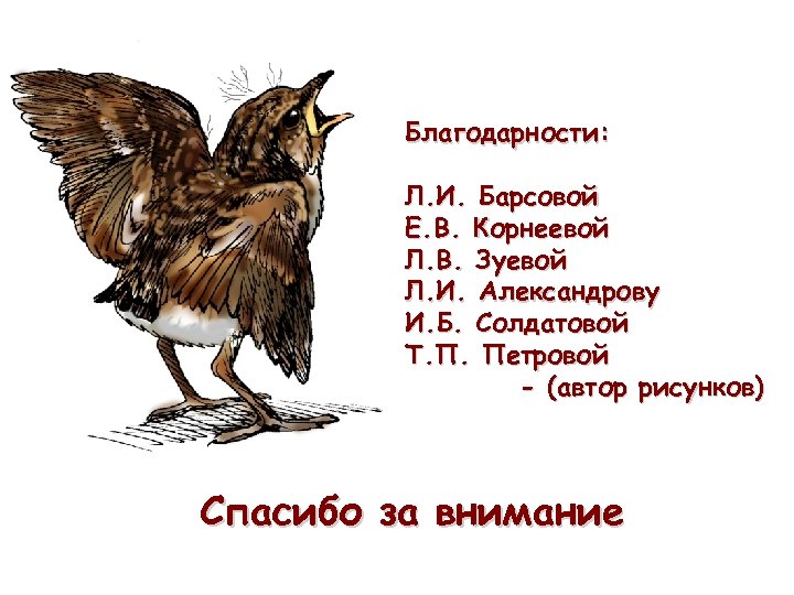 Благодарности: Л. И. Барсовой Е. В. Корнеевой Л. В. Зуевой Л. И. Александрову И.
