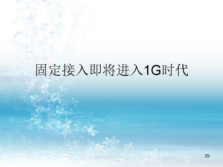 固定接入即将进入 1 G时代 29 