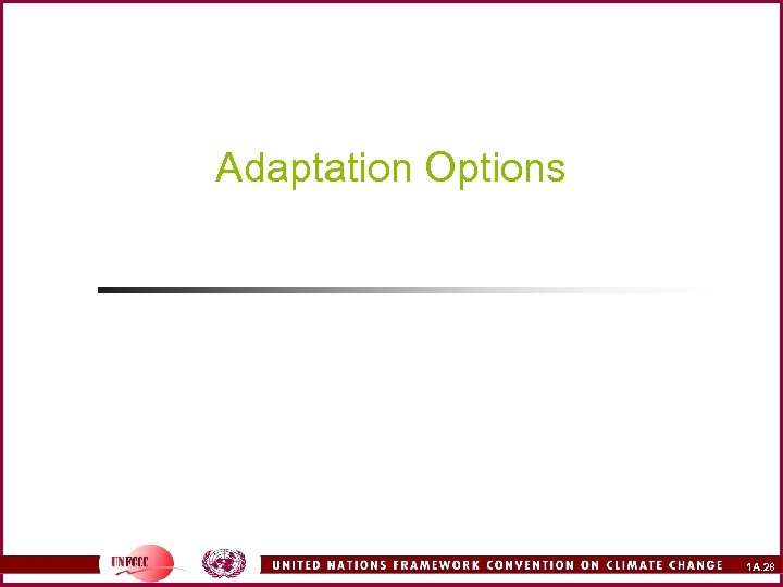 Adaptation Options 1 A. 28 