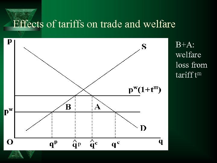 Effects of tariffs on trade and welfare B+A: welfare loss from tariff tm 