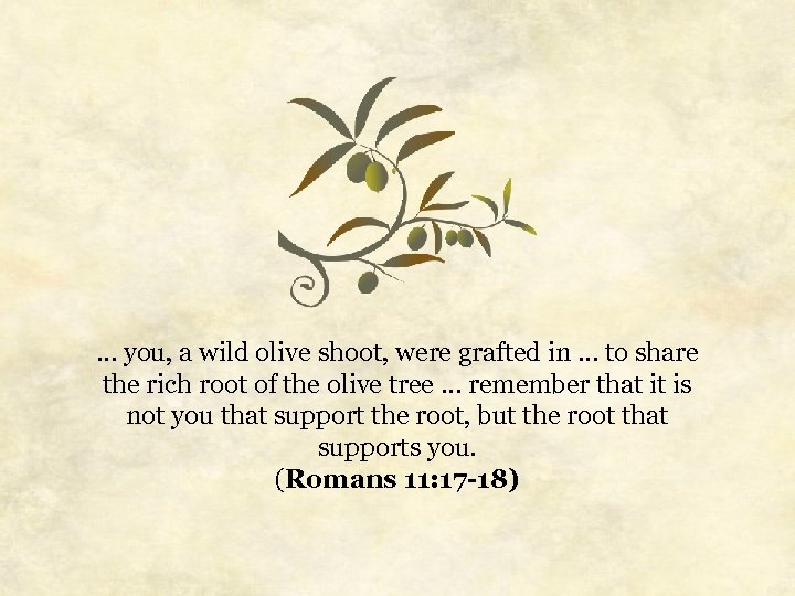 … you, a wild olive shoot, were grafted in … to share the rich