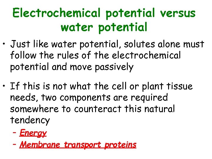Electrochemical potential versus water potential • Just like water potential, solutes alone must follow
