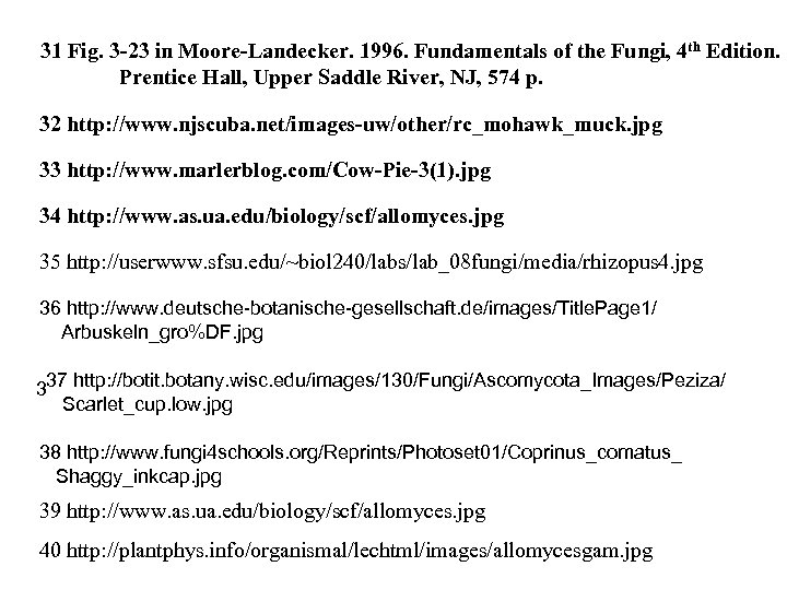 31 Fig. 3 -23 in Moore-Landecker. 1996. Fundamentals of the Fungi, 4 th Edition.