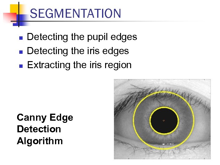 SEGMENTATION n n n Detecting the pupil edges Detecting the iris edges Extracting the