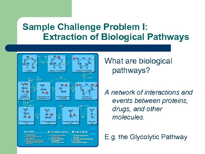Sample Challenge Problem I: Extraction of Biological Pathways What are biological pathways? A network