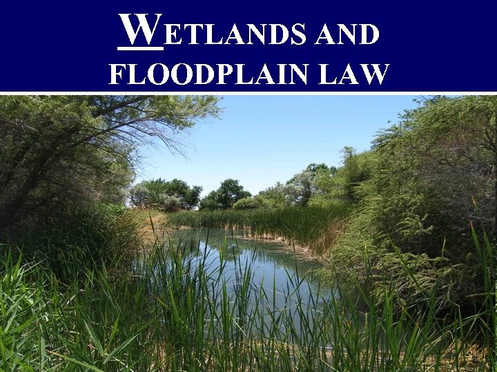 WETLANDS AND FLOODPLAIN LAW 