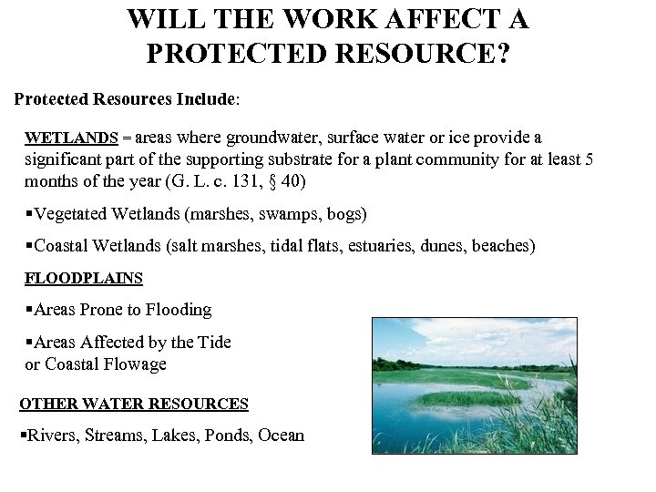 WILL THE WORK AFFECT A PROTECTED RESOURCE? Protected Resources Include: WETLANDS = areas where