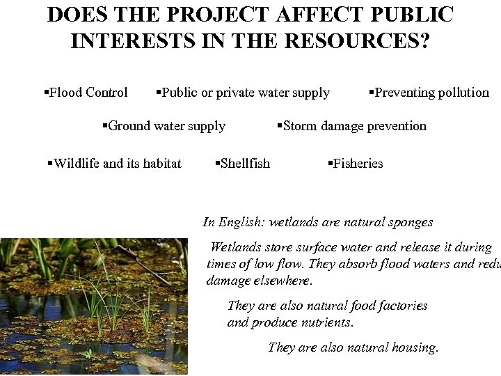 DOES THE PROJECT AFFECT PUBLIC INTERESTS IN THE RESOURCES? §Flood Control §Public or private